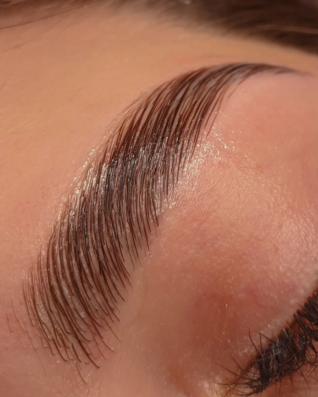 Close-up of a glossy, laminated brown eyebrow with hairs neatly brushed upwards and outwards.