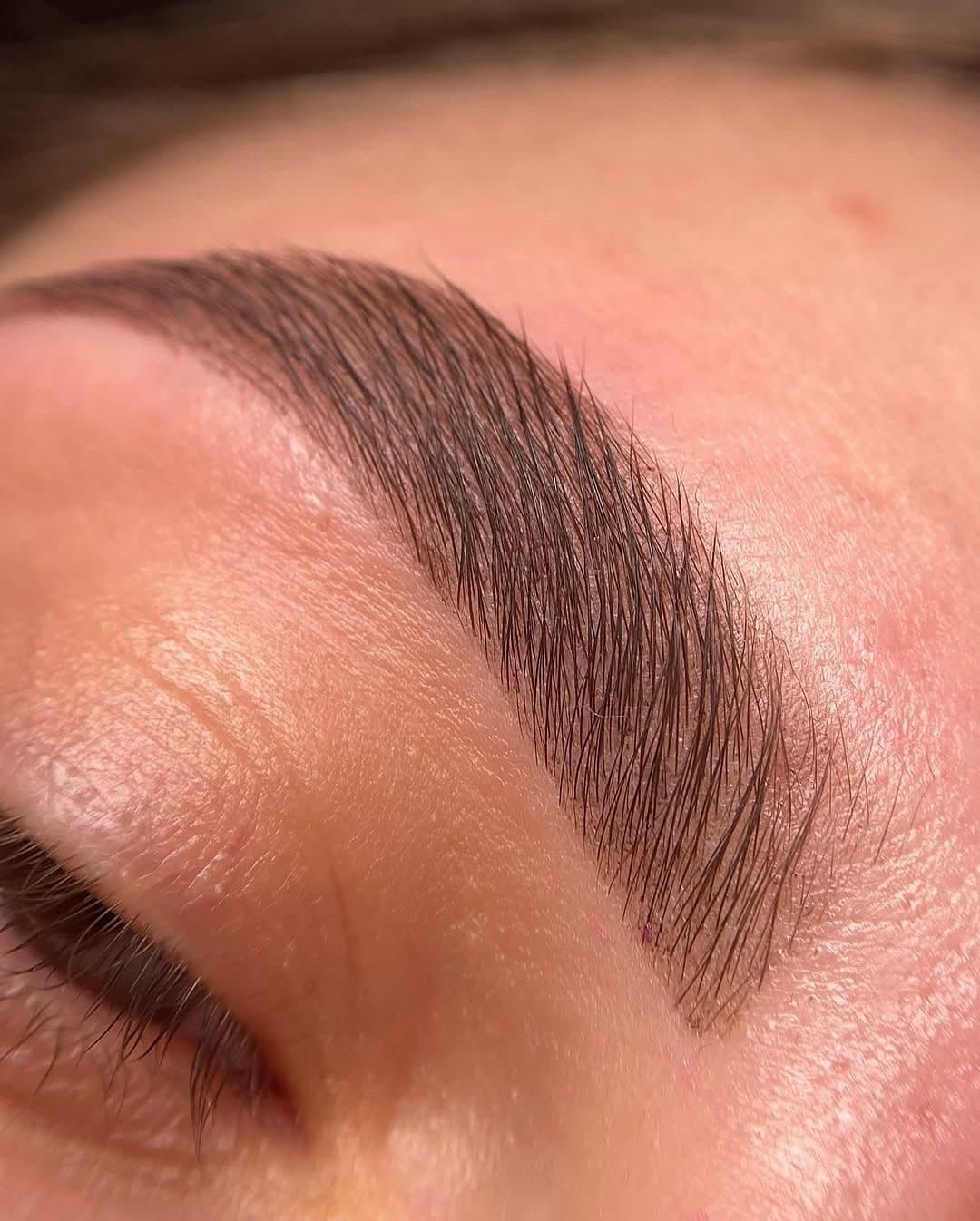 Close-up of a groomed, dark brown eyebrow with visible hair strokes on fair skin.